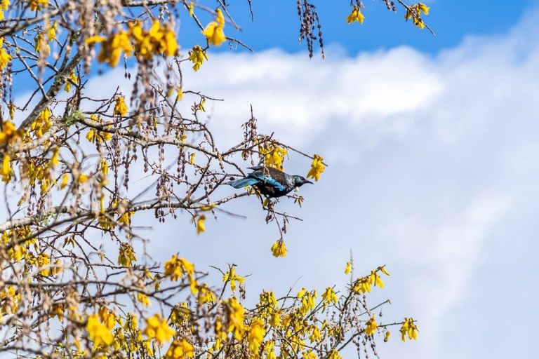 Photo of property in 9 Chichester Drive, Pinehaven, Upper Hutt, 5019