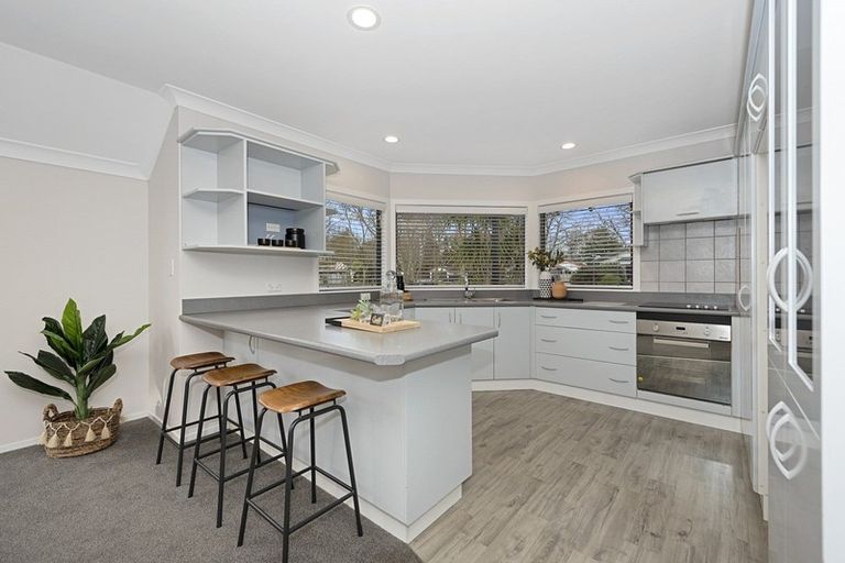 Photo of property in 11 Meridian Place, Flagstaff, Hamilton, 3210