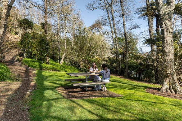 Photo of property in 45a Te Awa Lane, Tamahere, Hamilton, 3283