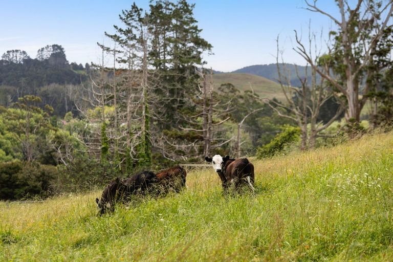 Photo of property in 40 Silver Hill Road, Wellsford, 0975