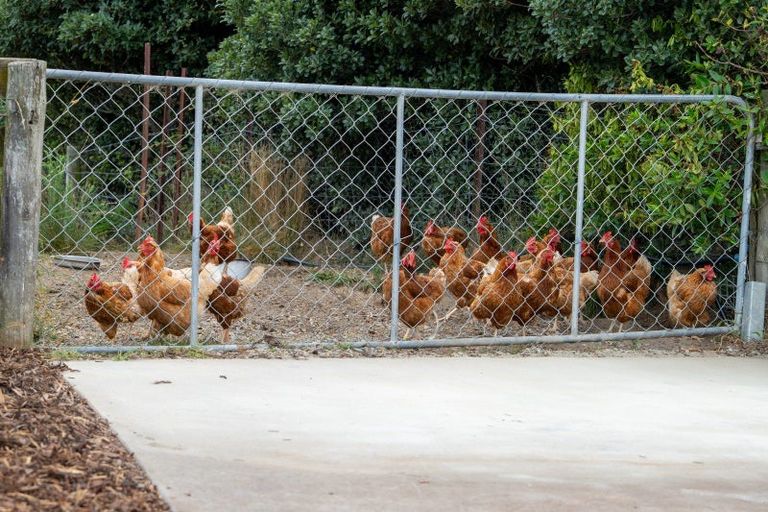 Photo of property in 109 Pomona Road, Ruby Bay, Upper Moutere, 7173