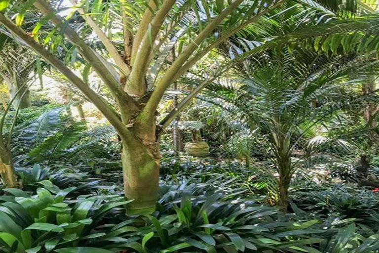 Photo of property in 111 Old Reservoir Road, Karangahake, Paeroa, 3674