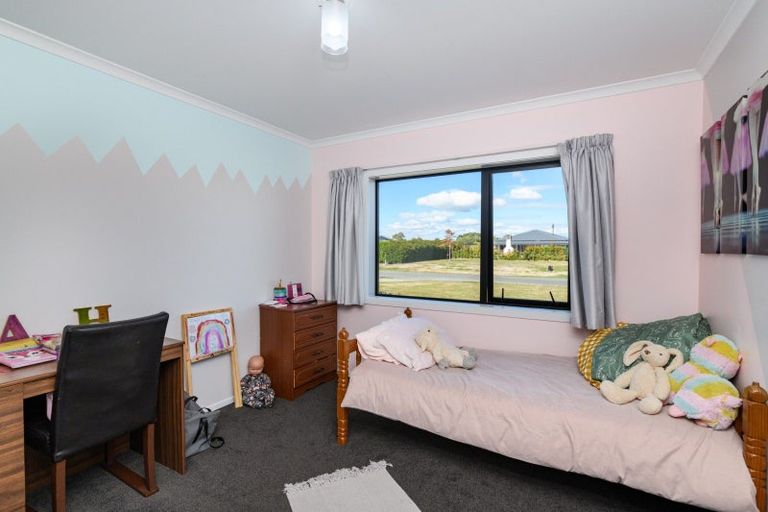 Photo of property in 14 Fallow Avenue, Feilding, 4775