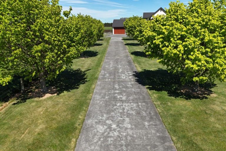 Photo of property in 344 Longbeach Road, Willowby, Ashburton, 7773