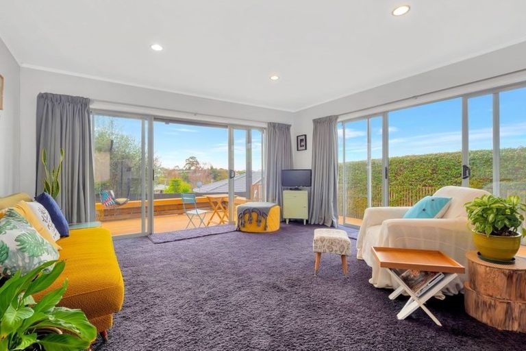 Photo of property in 65 Harrier Street, Parkvale, Tauranga, 3112