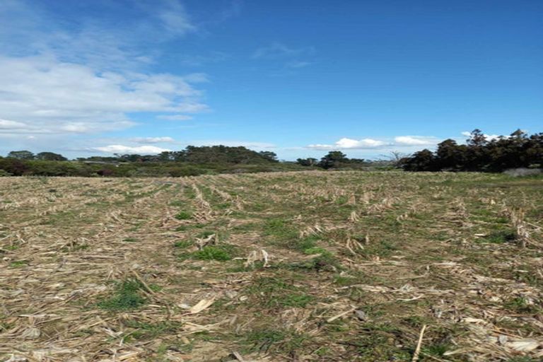 Photo of property in 41 Wharf Road, Clarks Beach, Pukekohe, 2679