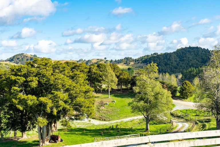 Photo of property in 251 Griffin Road, Maungaturoto, 0583