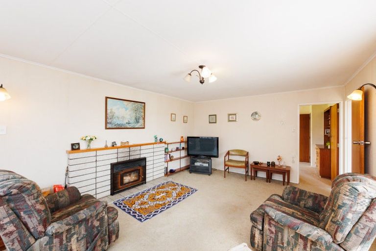 Photo of property in 17 Blenheim Place, Feilding, 4702