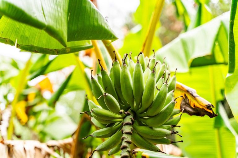 Photo of property in 174 Whatitiri Road, Maungatapere, Whangarei, 0179