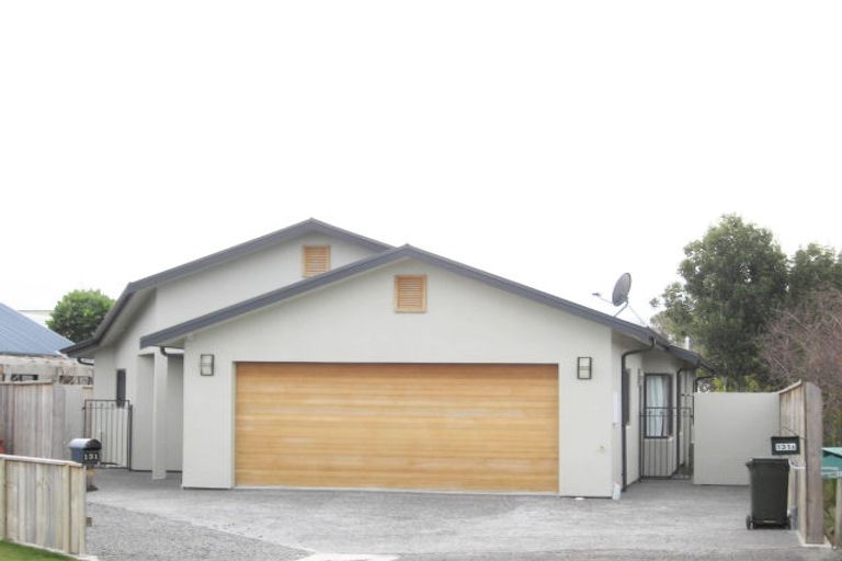 Photo of property in 131 Avenue Road, Greenmeadows, Napier, 4112