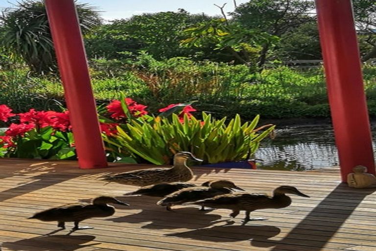 Photo of property in 106 Paetawa Road, Peka Peka, Waikanae, 5391