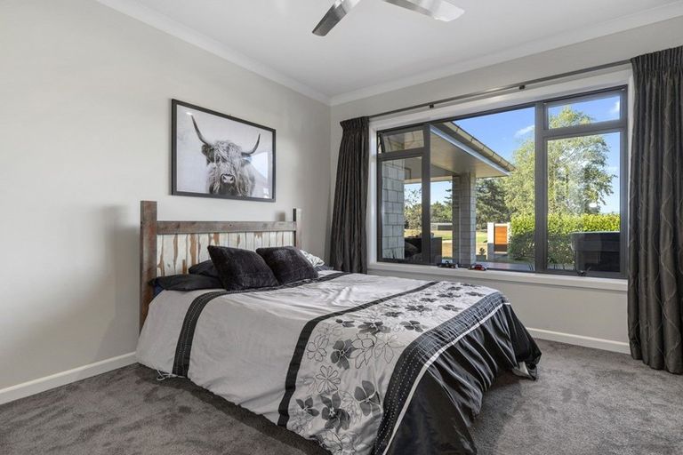 Photo of property in 7 Tralee Place, Morrinsville, 3300