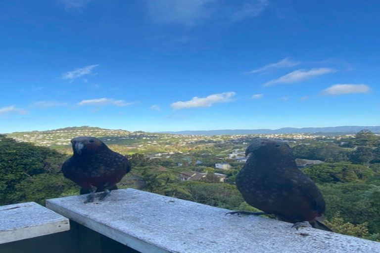 Photo of property in 27 Hauraki Street, Karori, Wellington, 6012