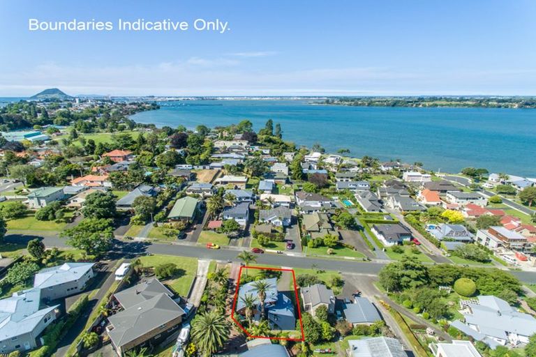 Photo of property in 42a Harvey Street, Tauranga South, Tauranga, 3112