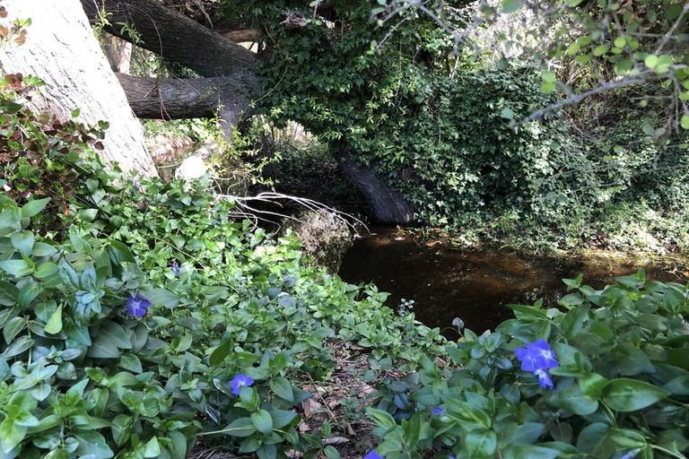 Photo of property in 11 Ormandy Court, Amberley, 7410