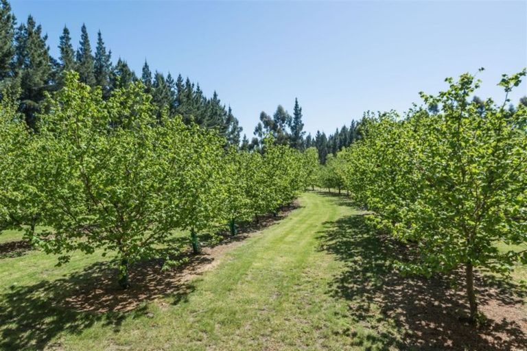 Photo of property in 5 Mona Vale Street, Waikari, 7420