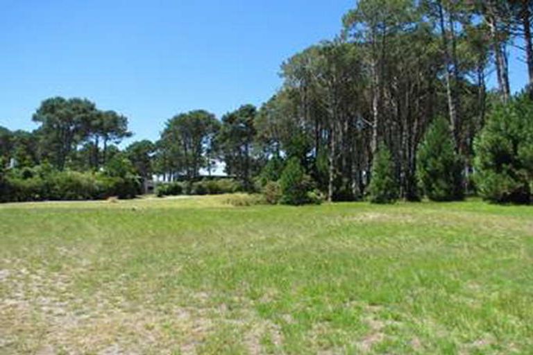 Photo of property in 756 Matarangi Drive, Matarangi, Whitianga, 3592