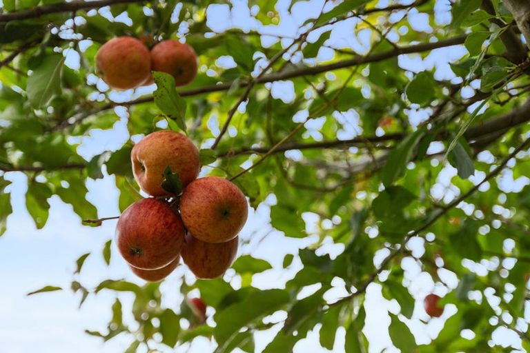 Photo of property in 27c Linton Crescent, Matua, Tauranga, 3110