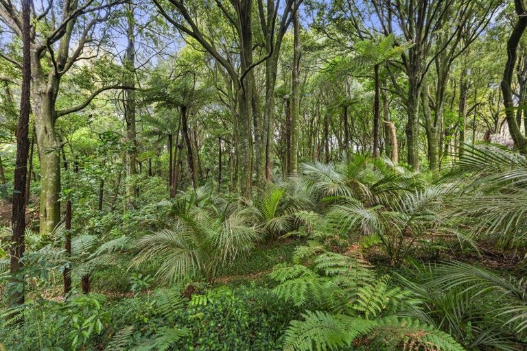 Photo of property in 459b Te Hutewai Road, Raglan, 3296