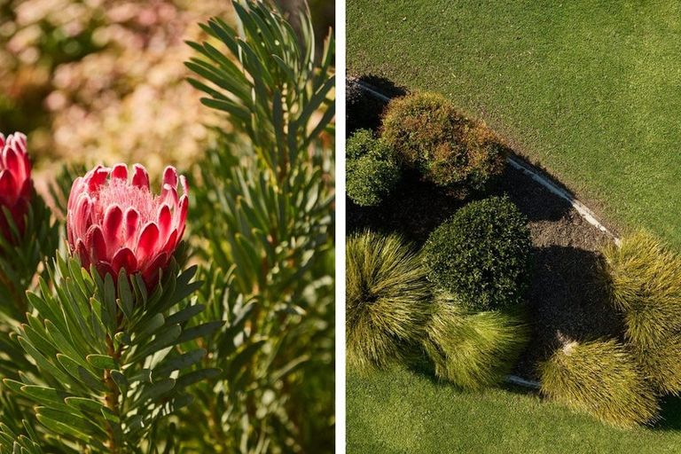 Photo of property in 107 Armstrong Road, Te Puna, Tauranga, 3174