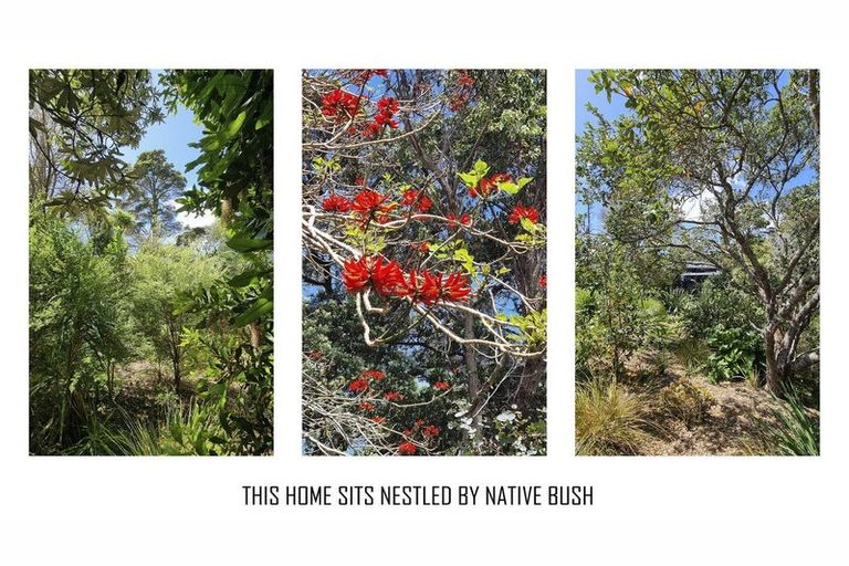 Photo of property in 57 Hauraki Road, Leigh, Warkworth, 0985