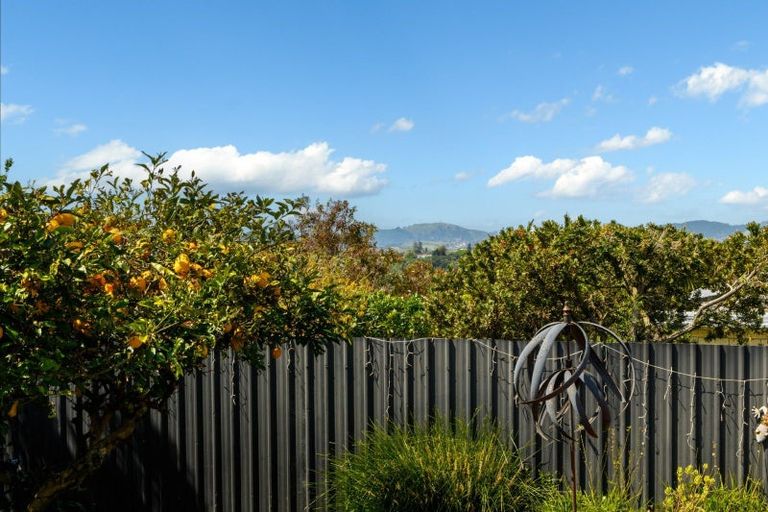 Photo of property in 2 Chester Street, Judea, Tauranga, 3110