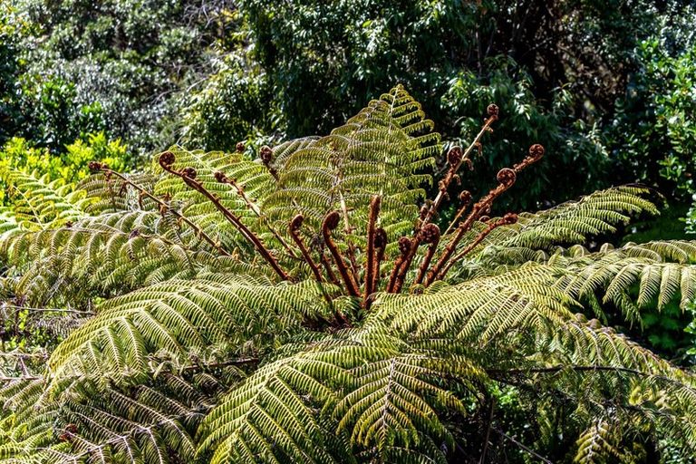 Photo of property in 20 Tutaritari Road, Hahei, Whitianga, 3591