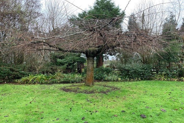 Photo of property in 241 Gap Road West, Winton, 9781