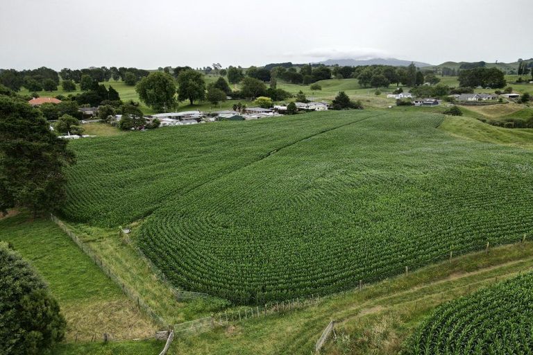 Photo of property in 69 Overdale Road, Putaruru, 3411