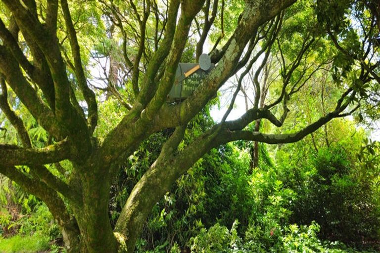 Photo of property in 8 Winter Road, Menzies Ferry, Wyndham, 9891