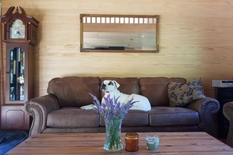 Photo of property in 8 Harper Place, Lake Coleridge, 7572