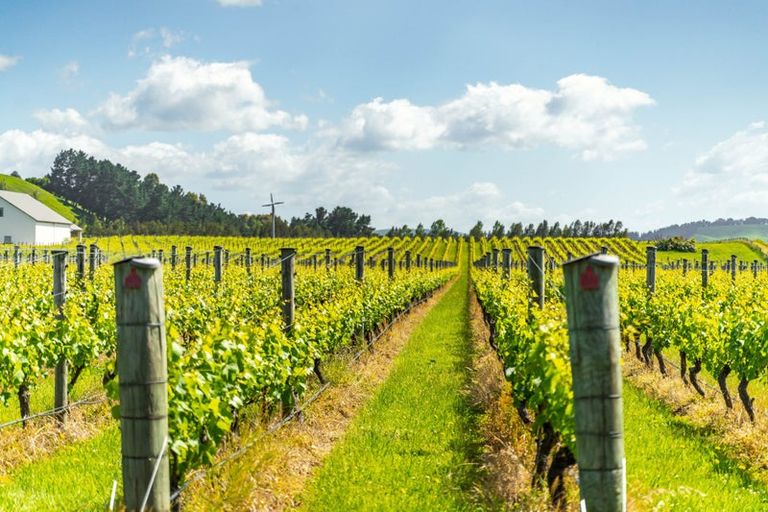 Photo of property in Redbank Estate, 224 Te Muna Road, Martinborough, 5784