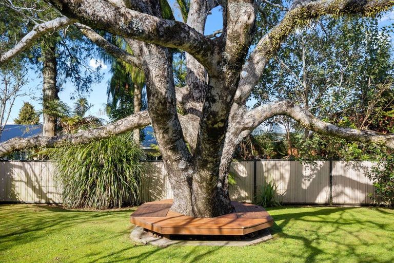 Photo of property in 430 Clayton Road, Pukehangi, Rotorua, 3015