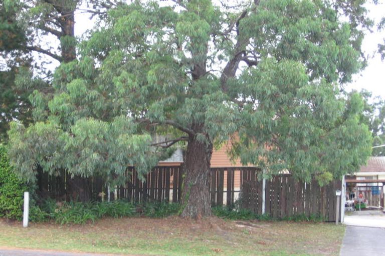 Photo of property in 4177 Great North Road, Glen Eden, Auckland, 0602