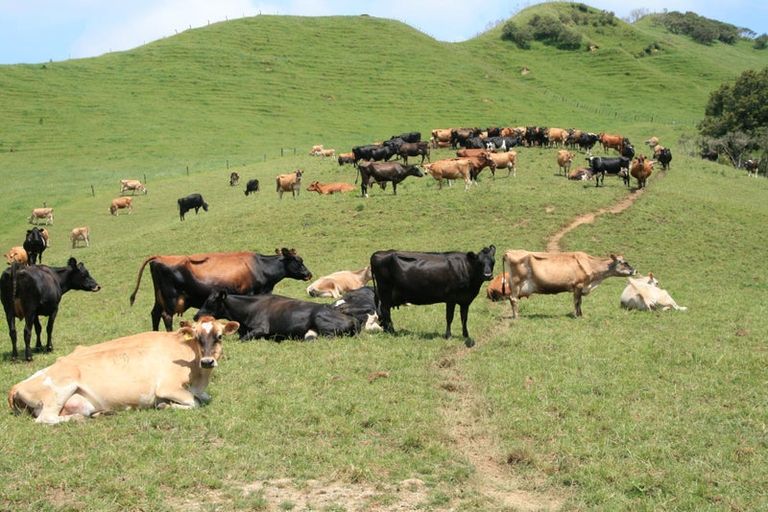 Photo of property in 2386 Tarata Road, Tarata, Inglewood, 4387