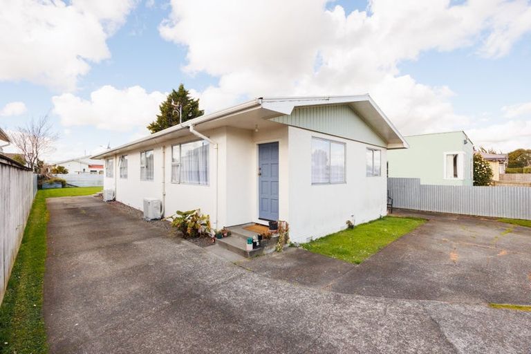 Photo of property in 101 Shamrock Street, Takaro, Palmerston North, 4412