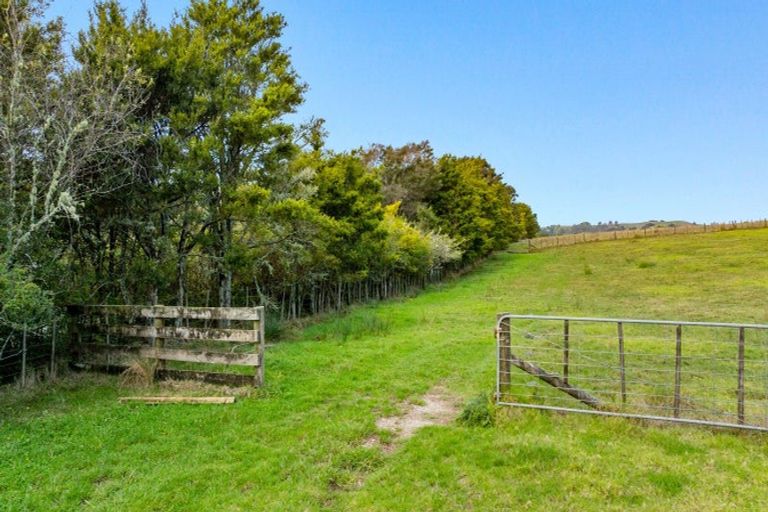 Photo of property in 704 Whangaripo Valley Road, Whangaripo, Wellsford, 0972