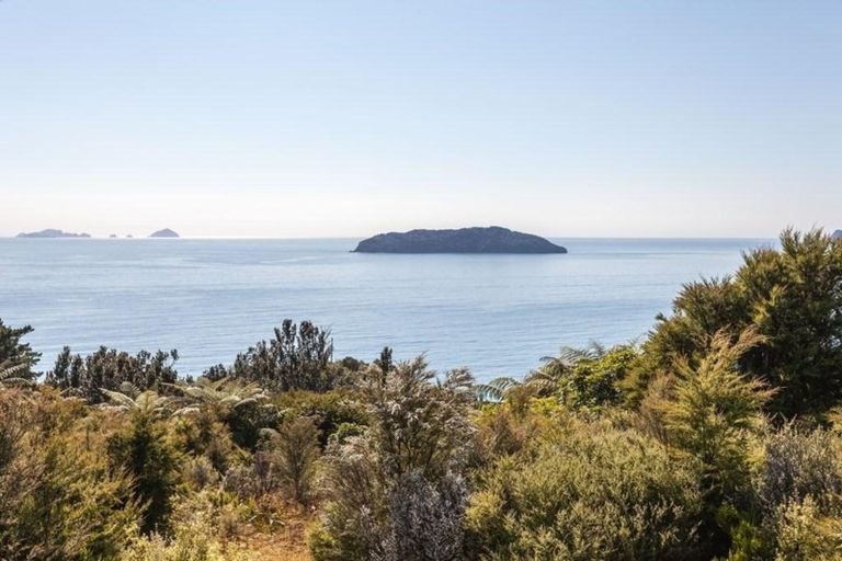 Photo of property in 160 Pumpkin Hill Road, Pumpkin Hill, Whitianga, 3591