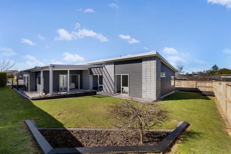 Photo of property in 98 Stirling Drive, Morrinsville, 3300