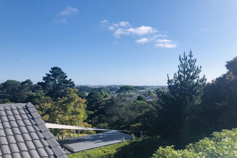 Photo of property in 14 Condor Place, Unsworth Heights, Auckland, 0632