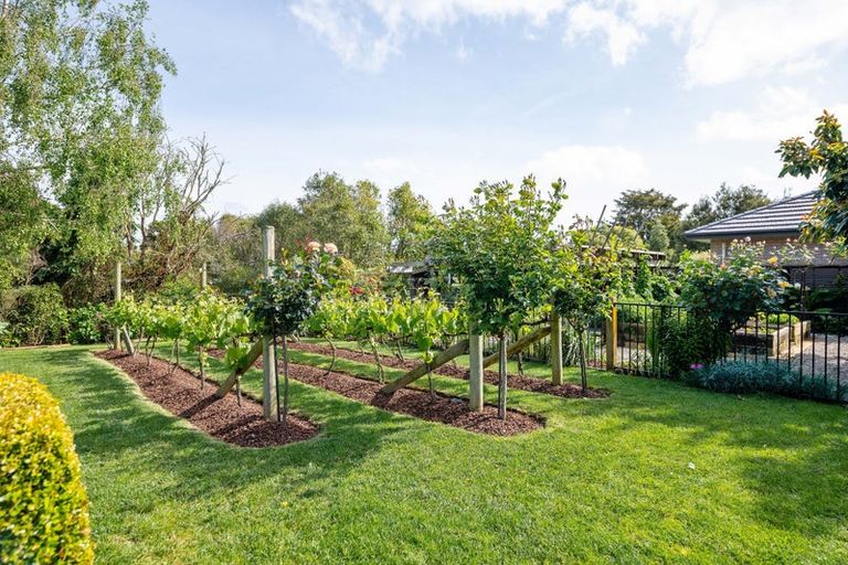 Photo of property in 33 Haswell Place, Huntington, Hamilton, 3210