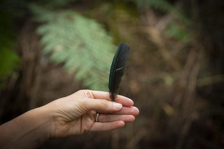 Photo of property in 27 Lett Road, Snells Beach, 0920