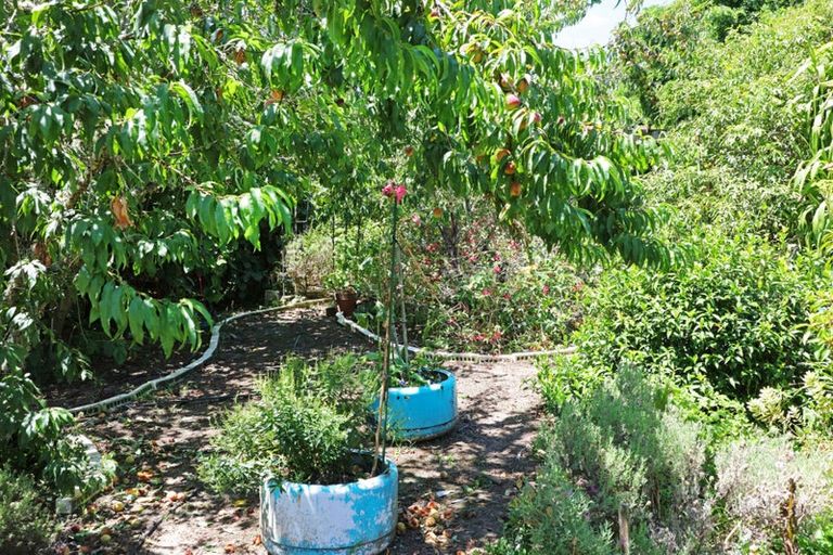 Photo of property in 269 Big Bay Road, Manukau Heads, Waiuku, 2684