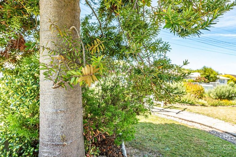 Photo of property in 26 Selwyn Crescent, College Estate, Whanganui, 4500