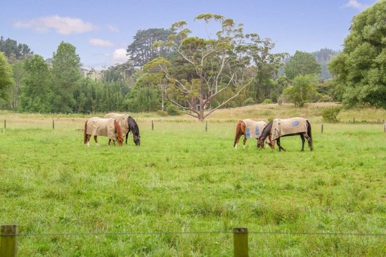 Photo of property in 132 Stoney Creek Road, Kaukapakapa, 0873
