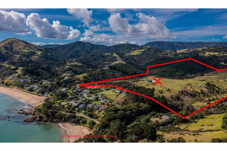 Photo of property in 1579 Colville Road, Amodeo Bay, Coromandel, 3584