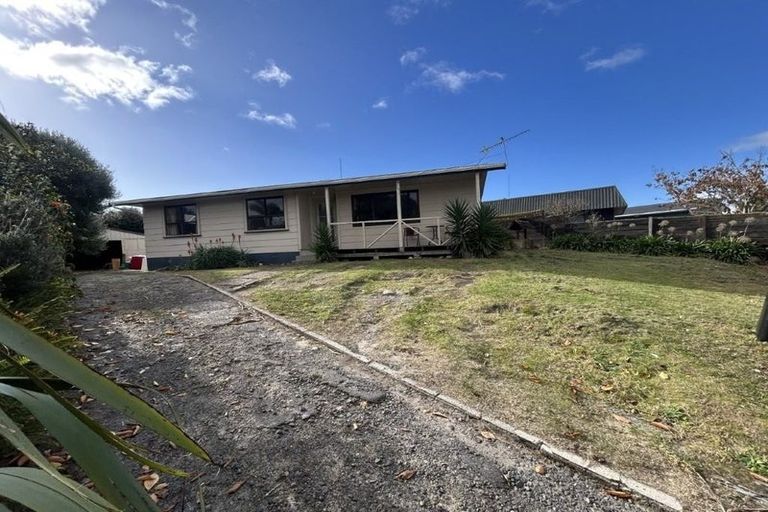 Photo of property in 115 Links Avenue, Mount Maunganui, 3116