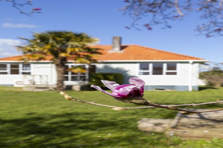 Photo of property in 26 Porritt Street, Paeroa, 3600