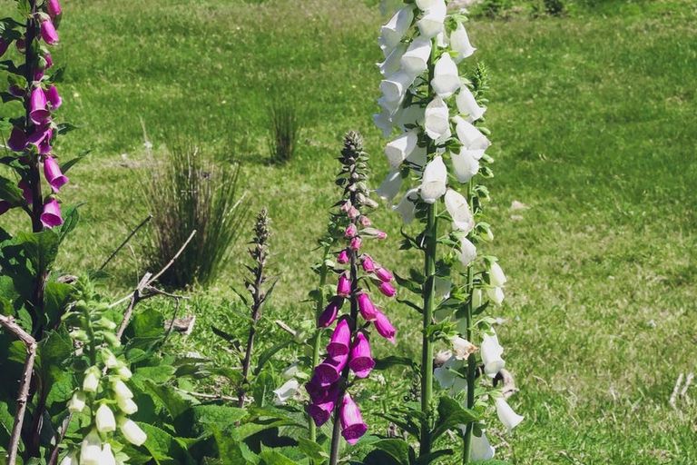 Photo of property in 7/247 Blue Spur Road, Blue Spur, Hokitika, 7882