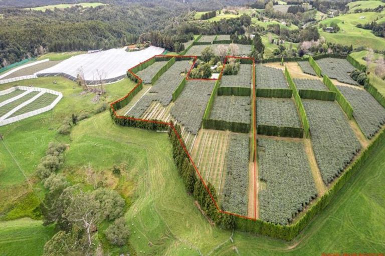 Photo of property in 43 Penmoral Lane, Lower Kaimai, Tauranga, 3171